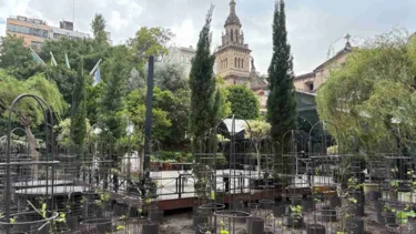 El primer viñedo urbano de Latinoamérica, en Buenos Aires